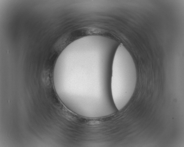 X0000063440169200601200938