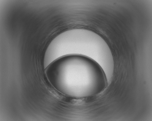 X0000063440170200601200938