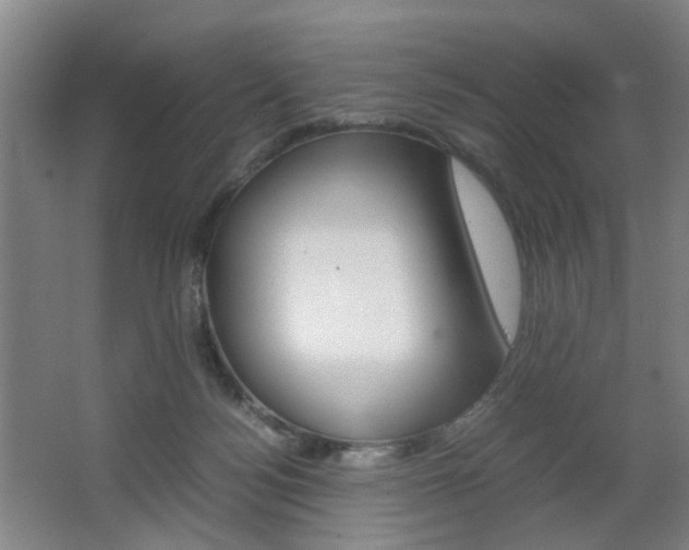 X0000063440172200601200938