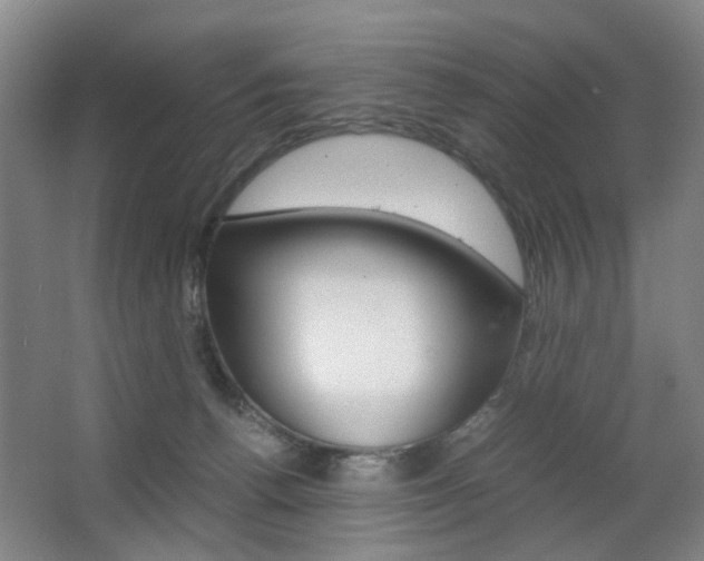X0000063440176200601200938