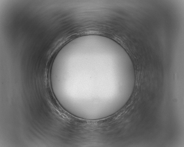 X0000063440194200601200937