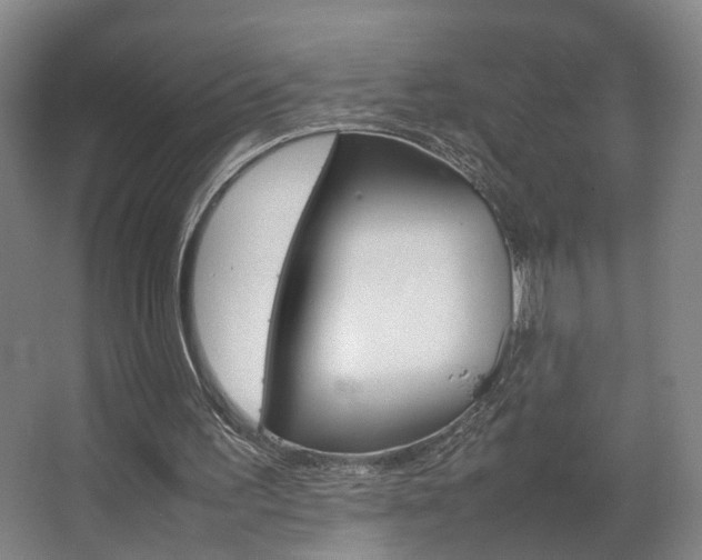 X0000063440195200601200937