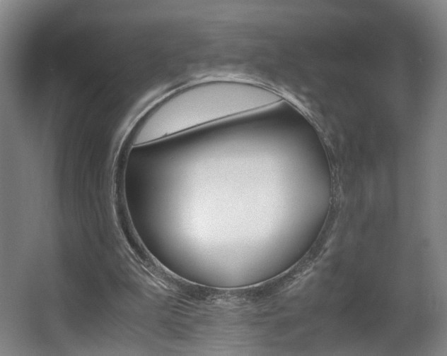 X0000063440199200601200937