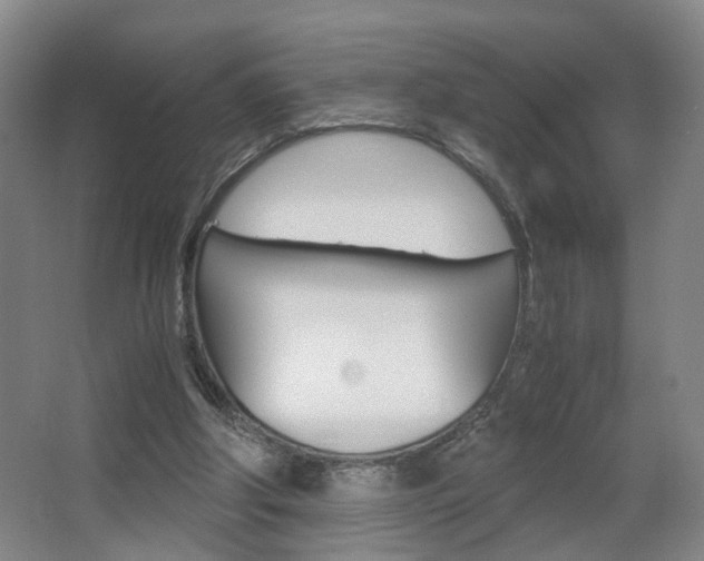 X0000063440202200601200937