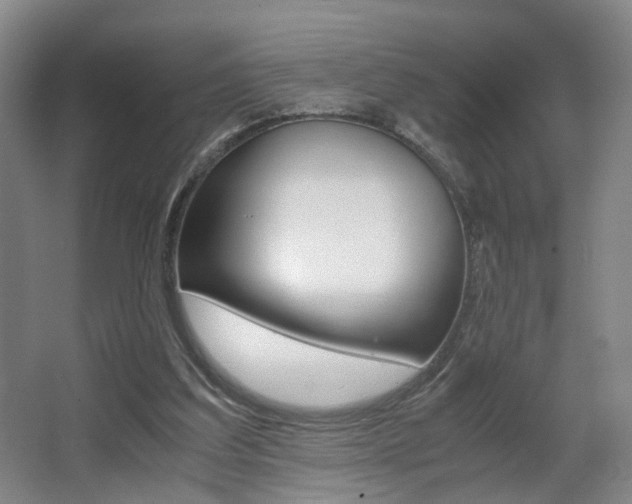 X0000063440203200601200937
