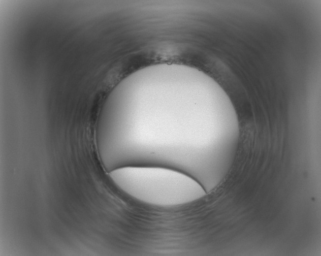 X0000063440222200601200937