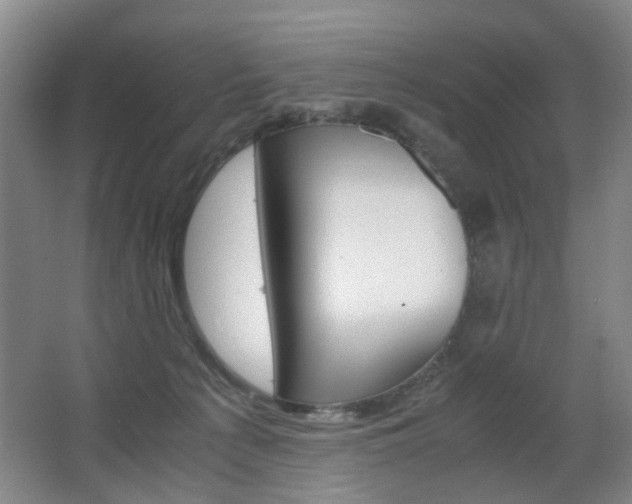 X0000063440225200601200937