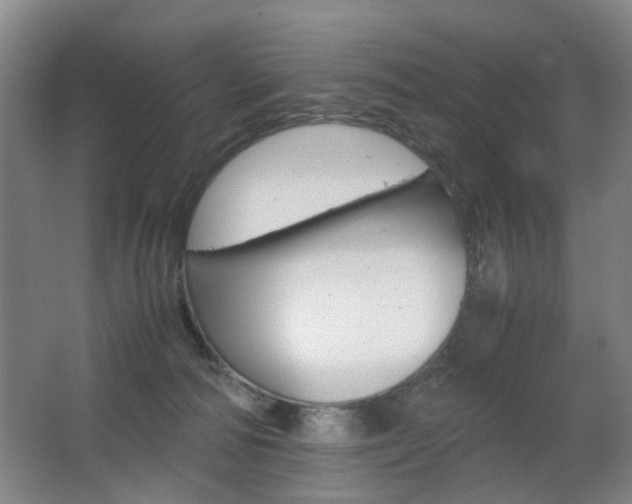X0000063440226200601200937