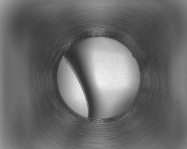 X0000063440228200601200937