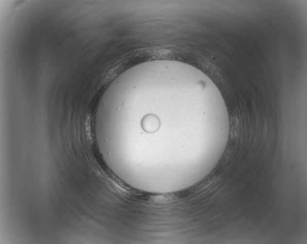 X0000063440238200601200937