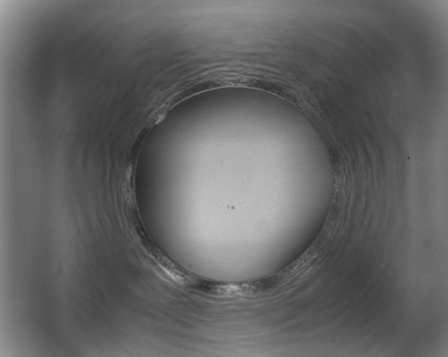 X0000063440239200601200937