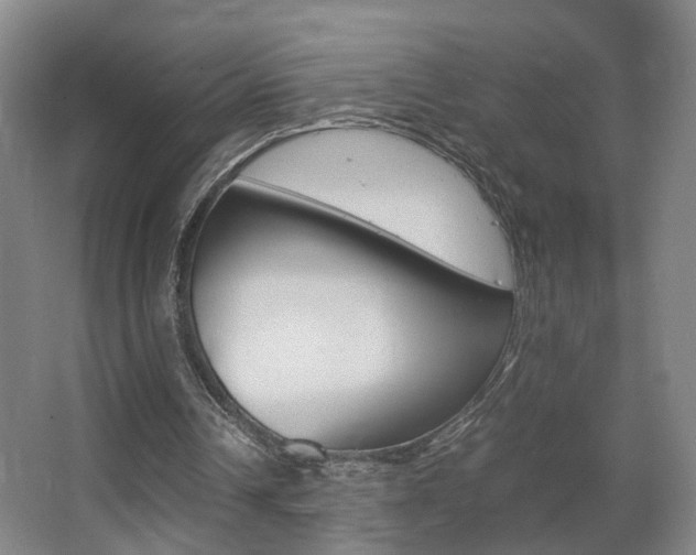 X0000063440242200601200936