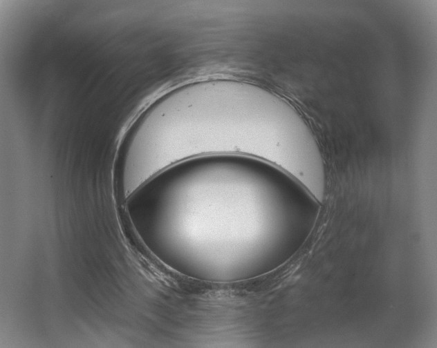 X0000063440244200601200936