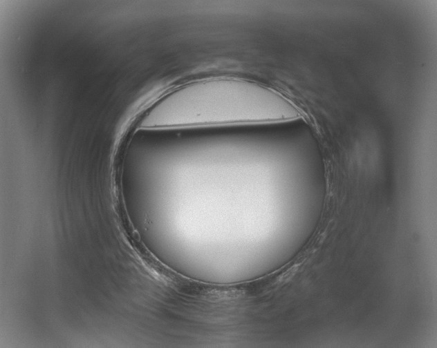 X0000063440245200601200936