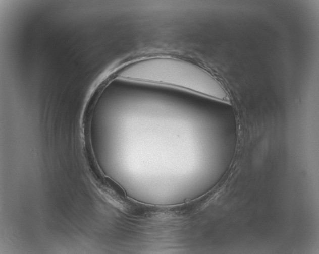 X0000063440246200601200936