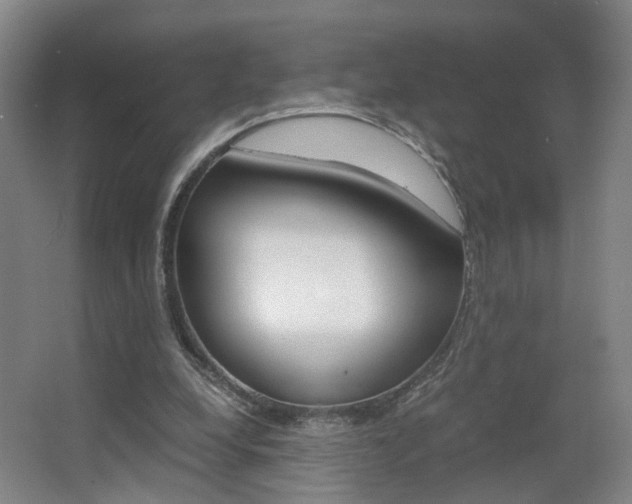 X0000063440248200601200936