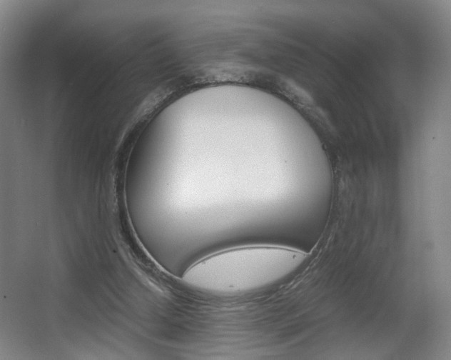 X0000063440250200601200936