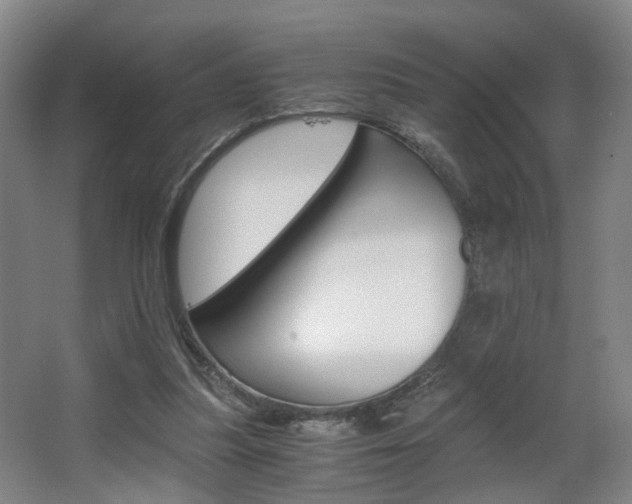 X0000063440251200601200936