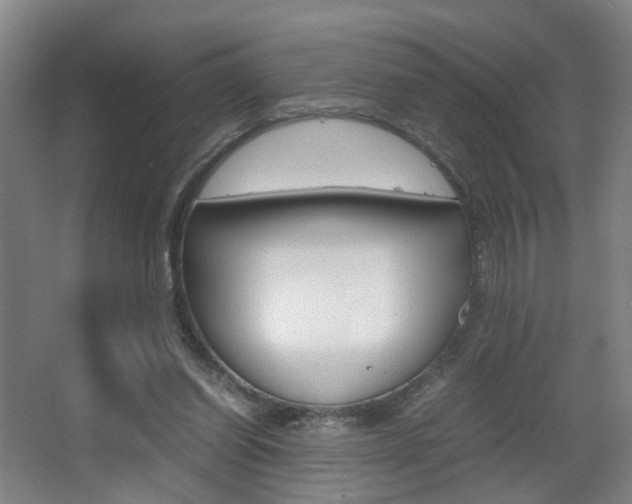 X0000063440254200601200936