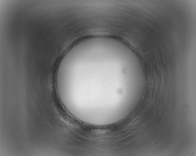 X0000063440255200601200936