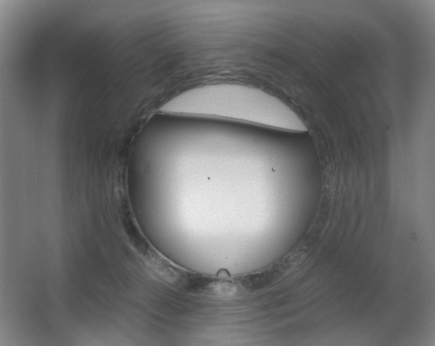 X0000063440272200601200936