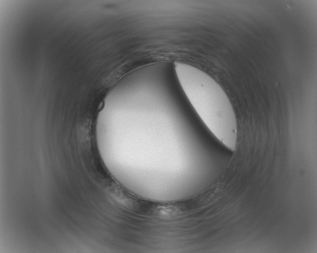 X0000063440275200601200936