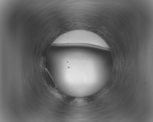 X0000063440280200601200936