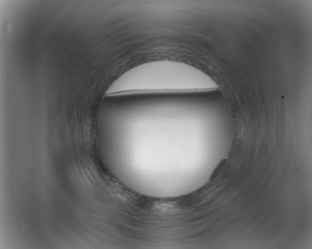 X0000063440283200601200936
