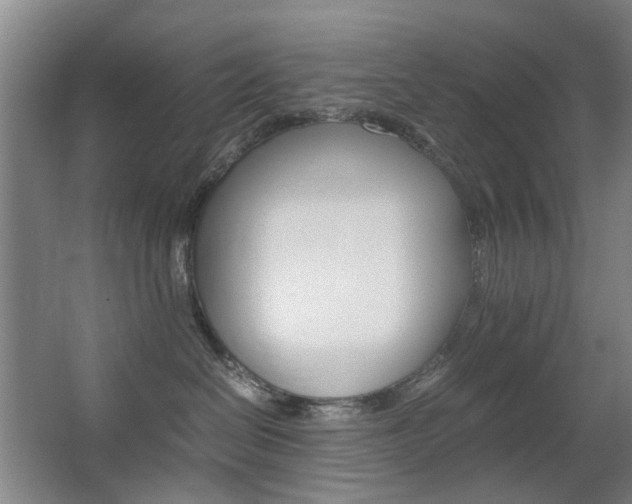 X0000063440286200601200936