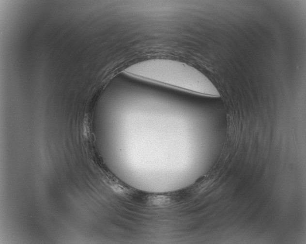 X0000063440287200601200936