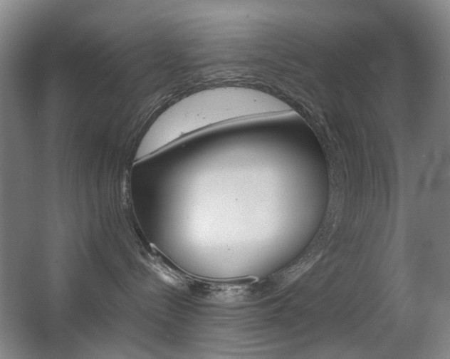X0000063440288200601200936