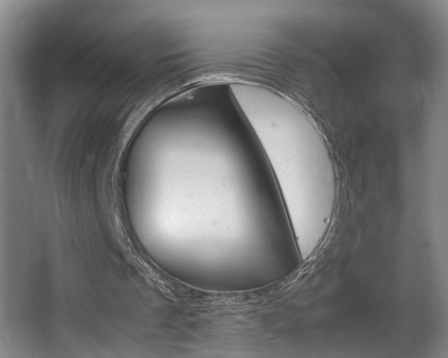 X0000063440289200601200936