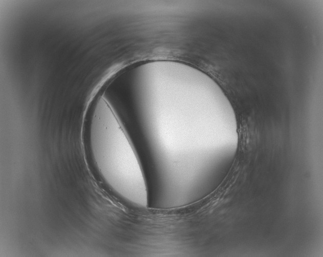 X0000063440292200601200936