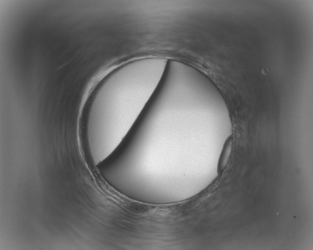 X0000063440294200601200936