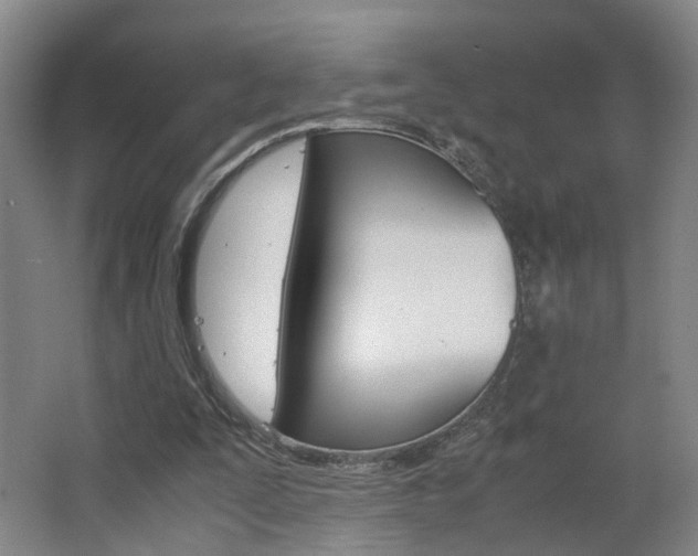 X0000063440295200601200936