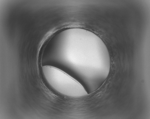 X0000063440296200601200936