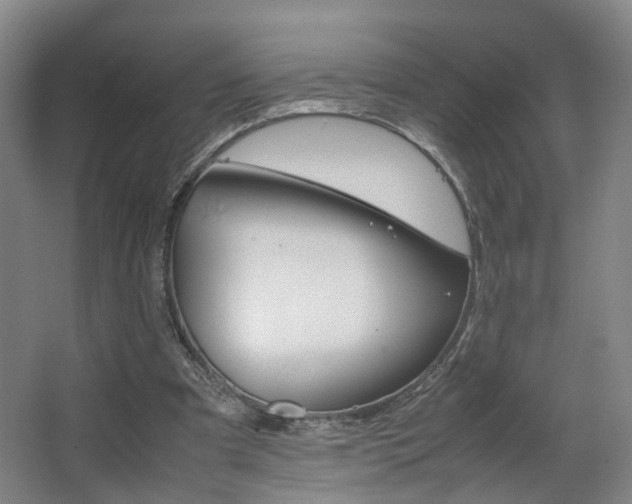 X0000063440297200601200936