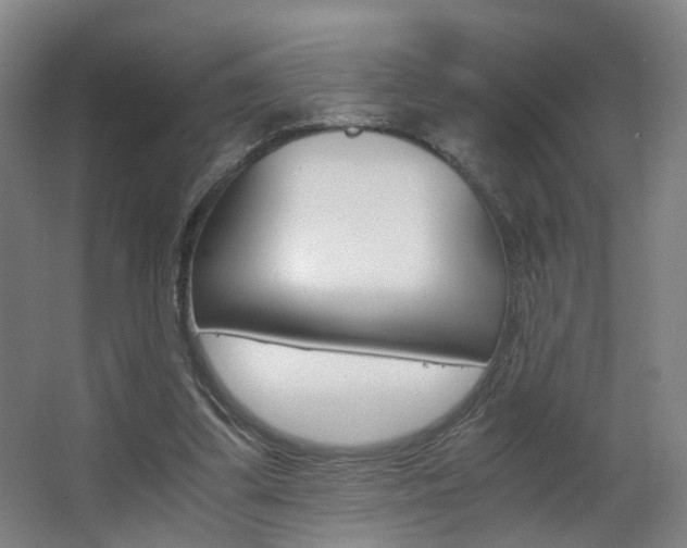 X0000063440299200601200936