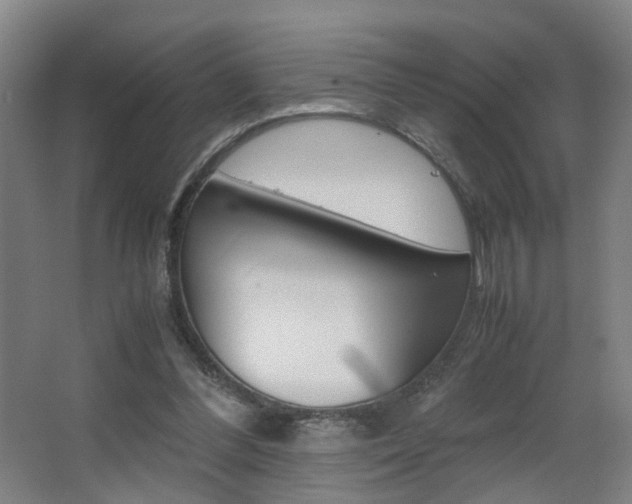 X0000063440300200601200935