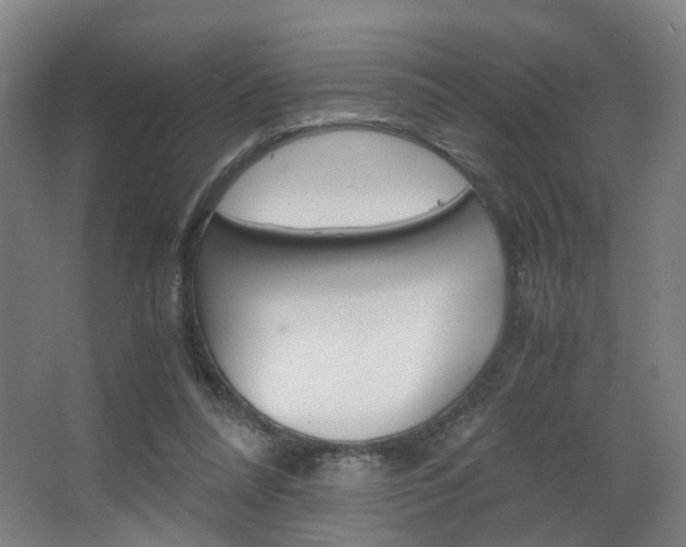 X0000063440304200601200935