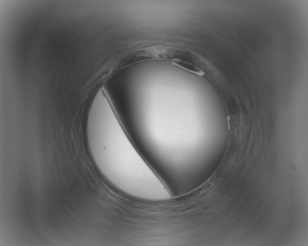 X0000063440313200601200935