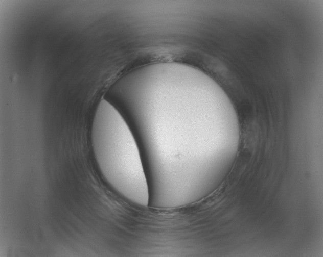 X0000063440314200601200935