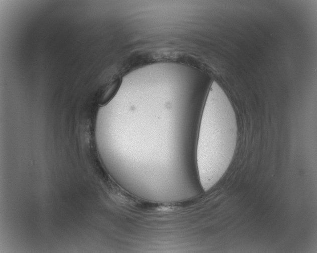 X0000063440323200601200935