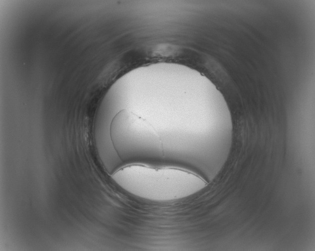 X0000063440328200601200935