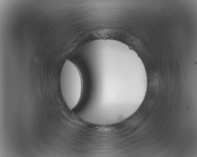 X0000063440332200601200935