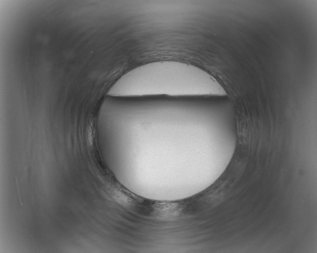 X0000063440334200601200935