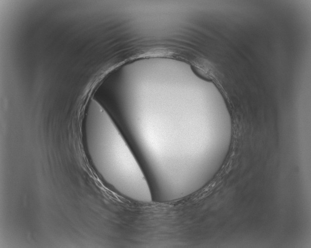 X0000063440337200601200934