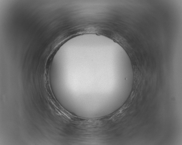 X0000063440338200601200934