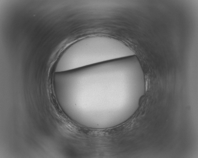 X0000063440339200601200934