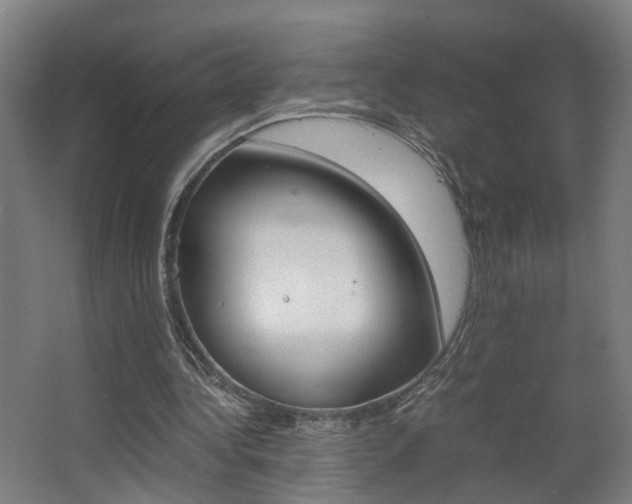 X0000063440340200601200934